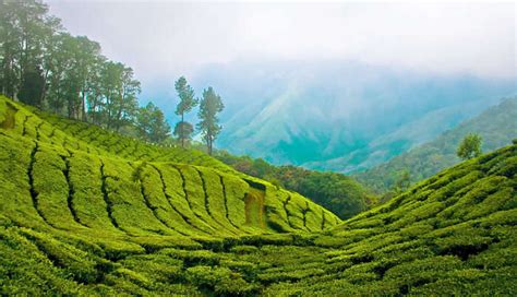 temperature in thekkady in december